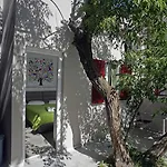 Paradise Guest house